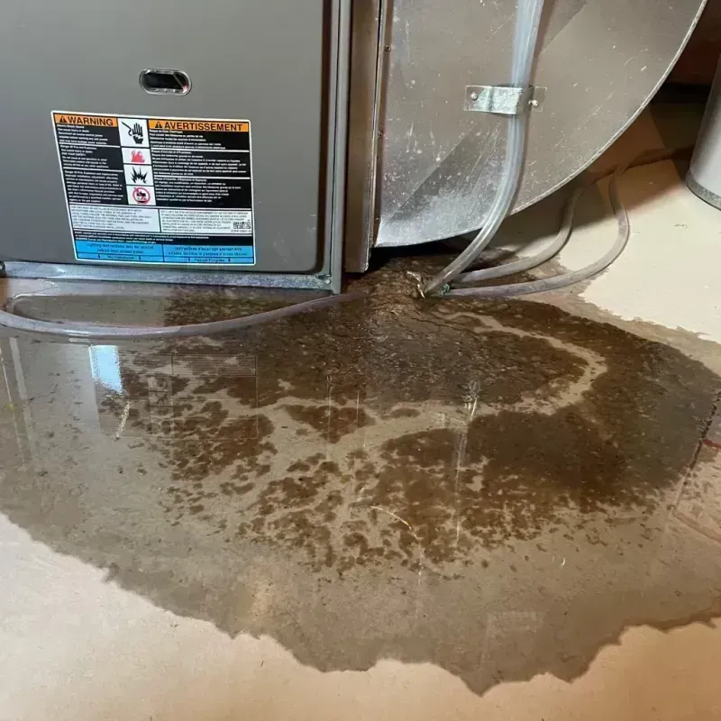 Appliance Leak Cleanup in Minooka, IL